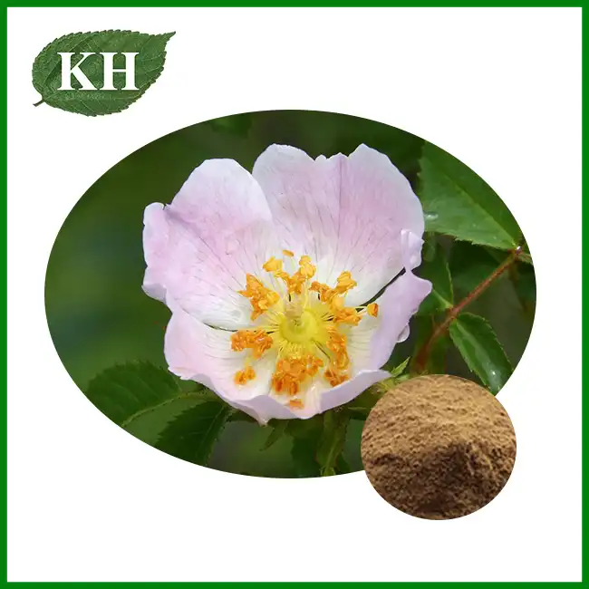Rosa Canina Extract